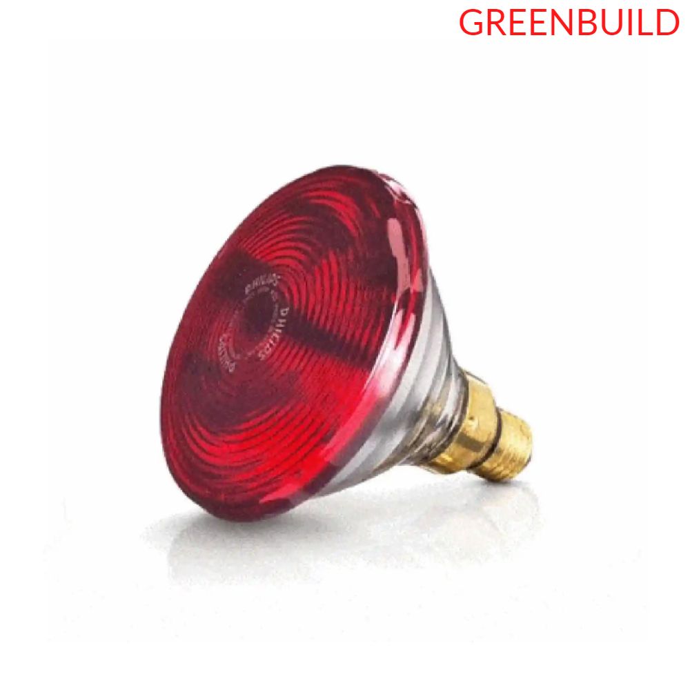 GreenBuild là nhà phân phối uy tín tại Việt Nam Bóng đèn hồng ngoại Philips 150W