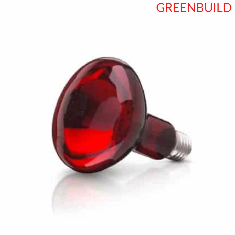 greenbuild - Bóng đèn hồng ngoại Philips 100W